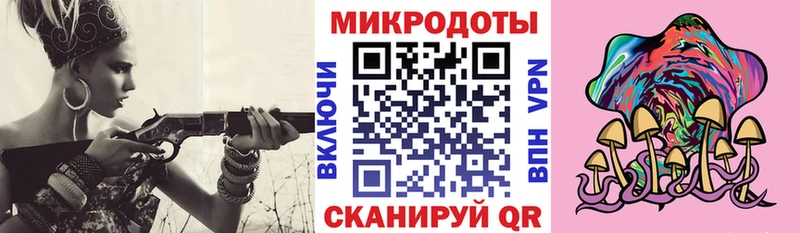 Псилоцибиновые грибы Psilocybe  Купить где  Боровск 